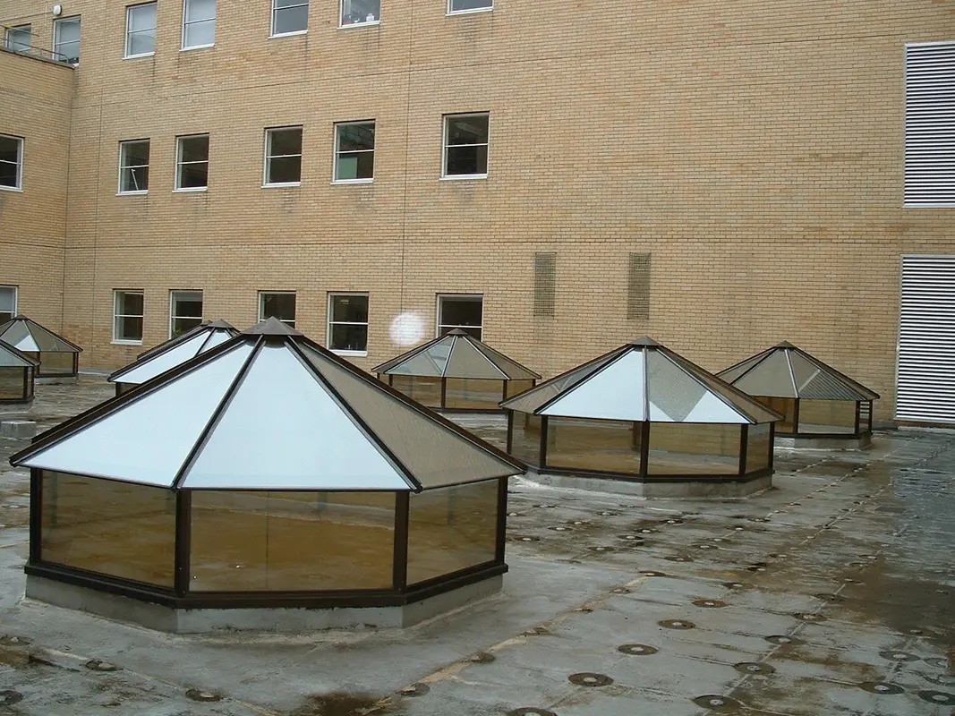 Flat Roof Skylights Swiss Cottage